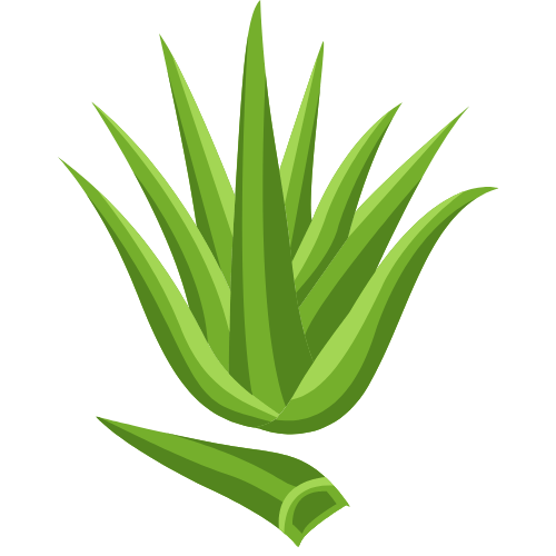 emilie esthéticienne