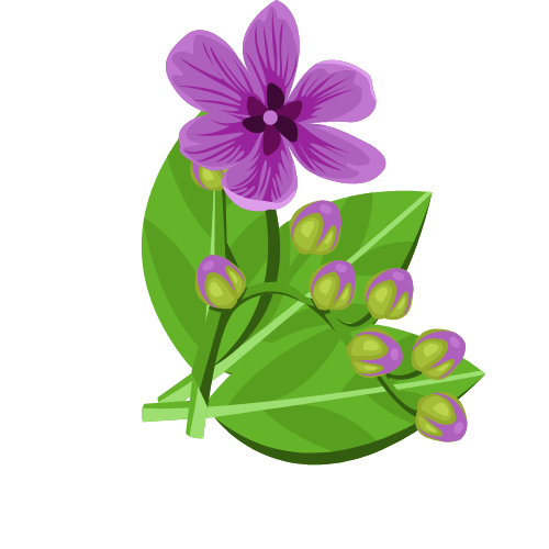 épilations chateauneuf du pape