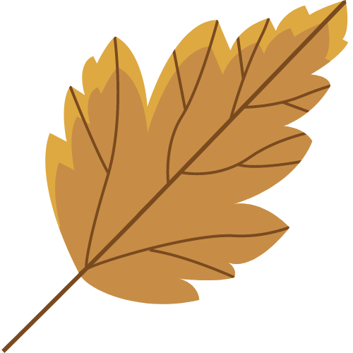 épilations homme chateauneuf du pape